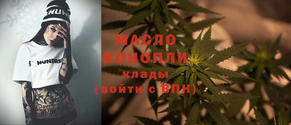 стаф Аркадак