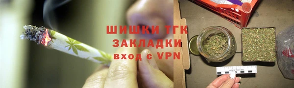 молекула духа Арсеньев