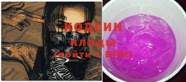 стаф Аркадак