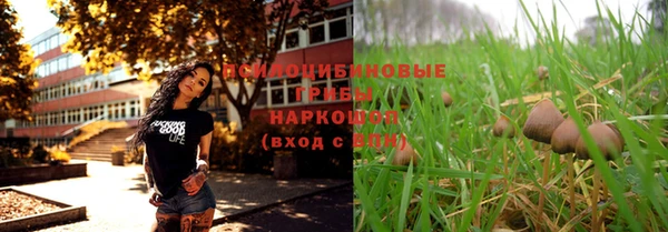 молекула духа Арсеньев