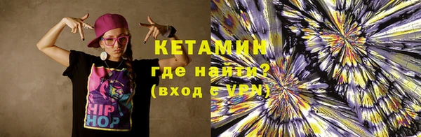 гидра Новодвинск
