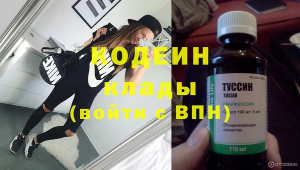 молекула духа Арсеньев
