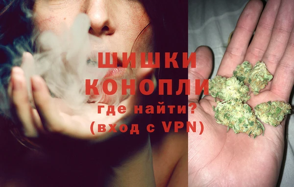 стаф Аркадак