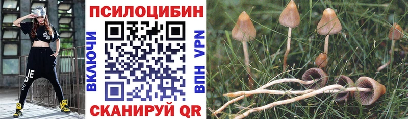 даркнет сайт  Крым  Псилоцибиновые грибы Psilocybe 